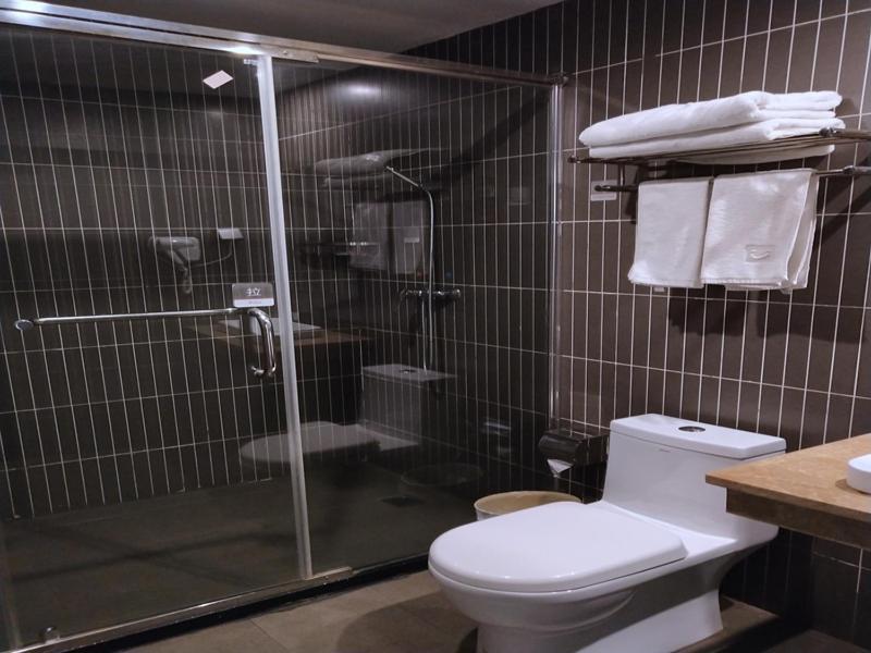 Thank Inn Plus Hotel Jiangxi Fuzhou Jinxi County Government Square Exterior photo